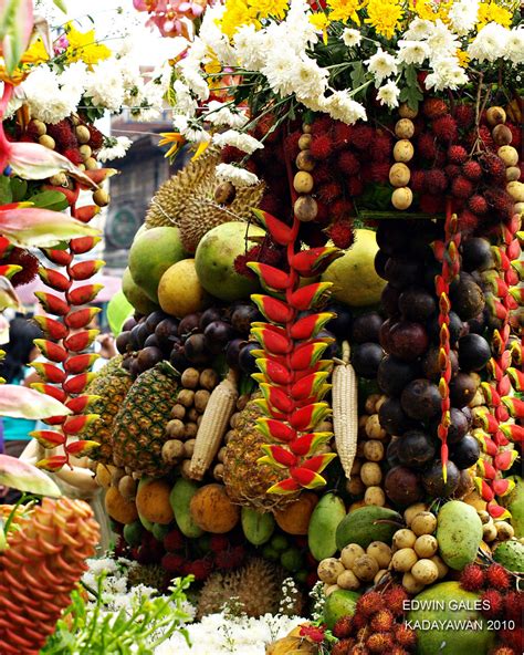 The Visayas and Mindanao Fruit Basket .